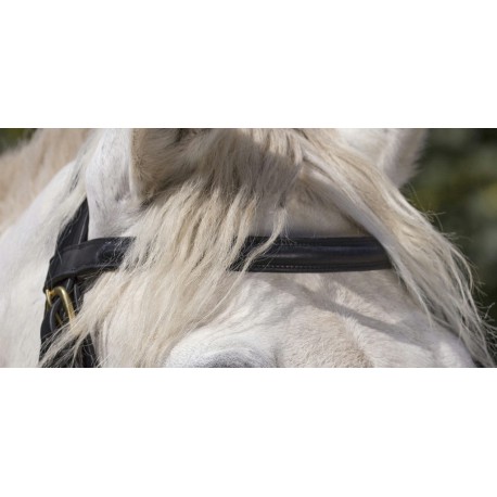 Bridon Norton Club cheval de trait – Image 3