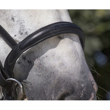 Bridon Norton Club cheval de trait – Image 4