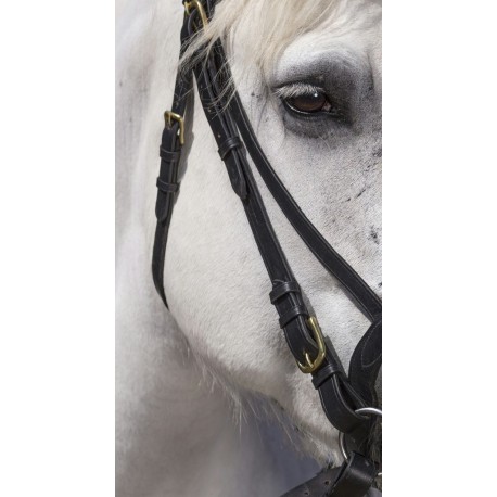 Bridon Norton Club cheval de trait – Image 5