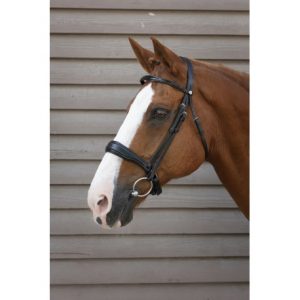 Bridon Norton Pro Confort