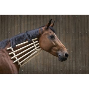 Collier de bois Hippotonic