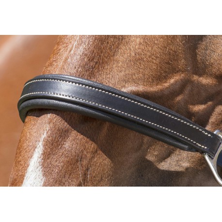 Licol Cuir Norton Pro Grooming – Image 2