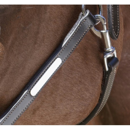Licol Cuir Norton Pro Grooming – Image 3