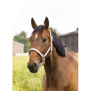 Licol Equitheme Air