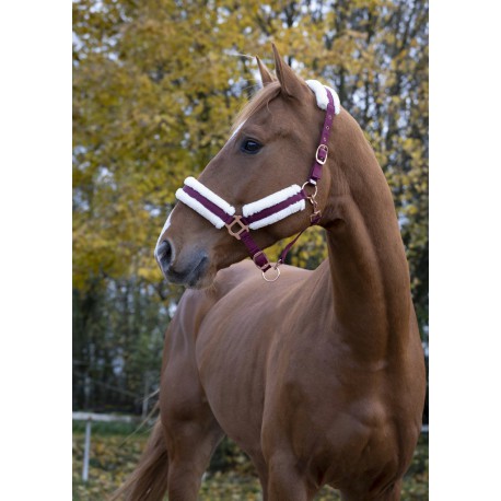 Licol Norton Confort – Image 5