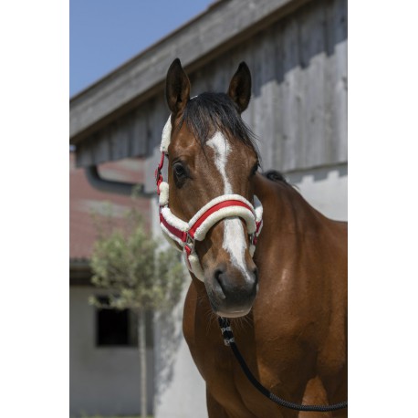 Licol Norton Cosy – Image 2