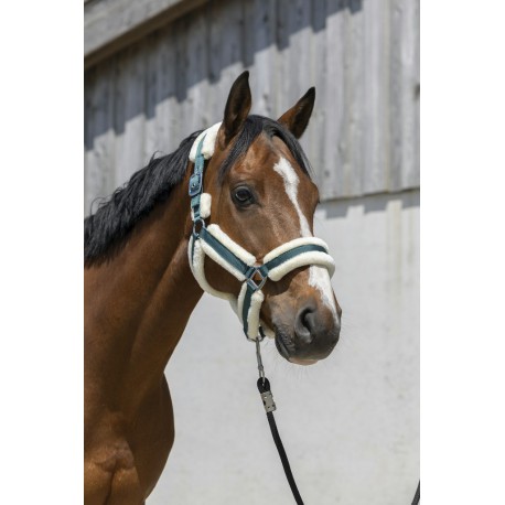 Licol Norton Cosy – Image 4
