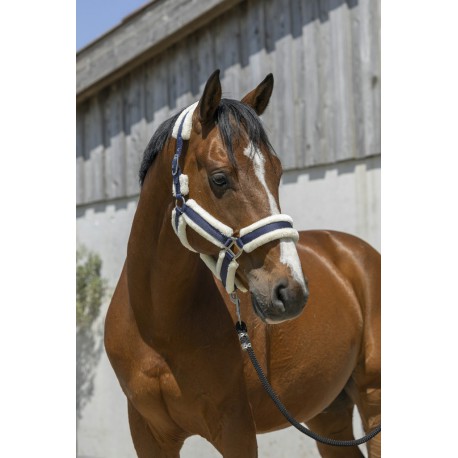 Licol Norton Cosy – Image 5