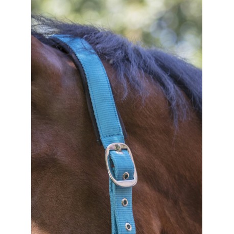 Licol Norton Fluo Doublé – Image 6