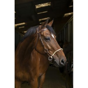 Side-Pull Norton Pro Corde