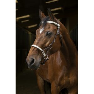 Side Pull Norton Pro Tresse