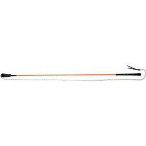 Stick Ethologique Whip & Go