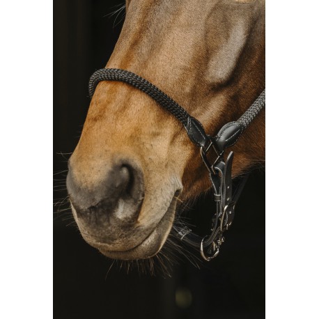 Licol Cuir/Corde Norton – Image 2