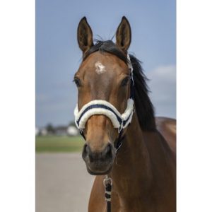 Licol Equitheme Nylon Mouton
