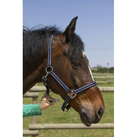 Licol Norton Grooming – Image 3