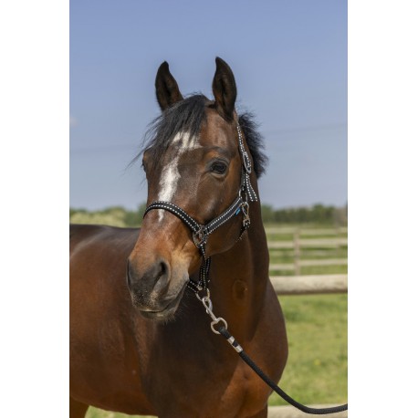 Licol Norton Grooming – Image 6