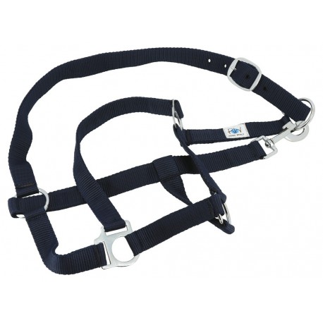 Set Complet Riding World – Image 4