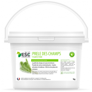 Prele des champs – Articulations et raideurs cheval – Plante pure