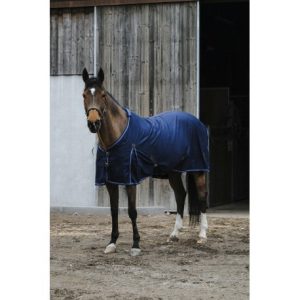 Chemise Polycoton Equithème Classic