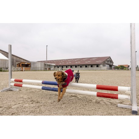 Couverture polaire DIEGO & LOUNA Teddy – Image 2