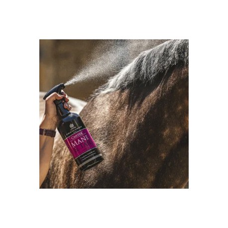 Lotion crinière et queue Canter Carr & Day & Martin – Image 2
