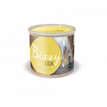 Pierre Bizzy Horse Bizzy Lick – Image 3