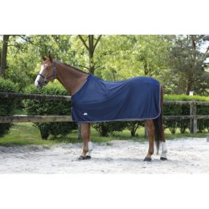 Chemise EQUITHÈME Microfleece standard