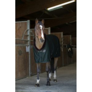 Chemise séchante EQUITHÈME Teddy