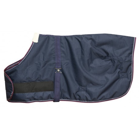 Couverture EQUITHÈME TYREX 1200 D Foal