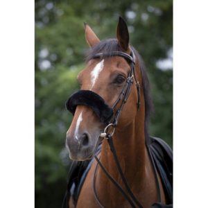 Fourreau de muserolle EQUITHÈME Teddy