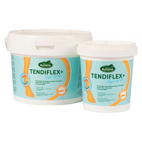Argile RAVENE Tendiflex +