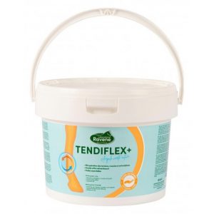 Argile RAVENE Tendiflex +