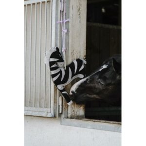 Jouet pour chevaux HIPPOTONIC – Zèbre