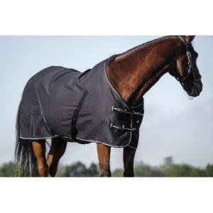 Chemise brillante RIDING WORLD