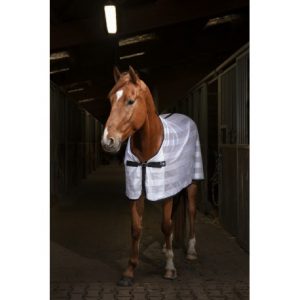 Chemise RIDING WORLD Mesh