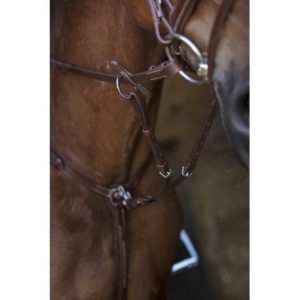 Collier de chasse NORTON PRO