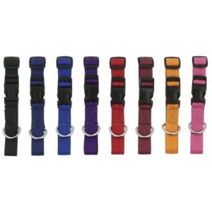 Collier pour chien RIDING WORLD – Pat