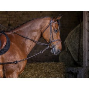 Enrênement Pirelli RIDING WORLD
