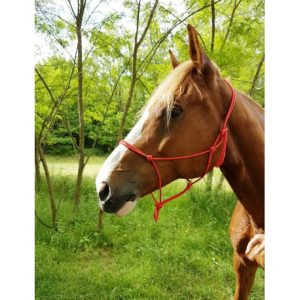 Licol éthologique RIDING WORLD corde Fin
