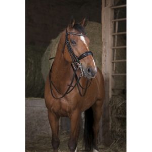 Rênes de bride NORTON PRO – 13 mm