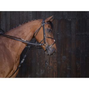 Rênes de gogue cuir RIDING WORLD