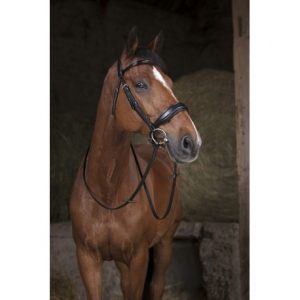 Rênes filet NORTON – 16 mm