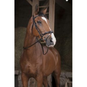 Rênes NORTON PRO Supergrip