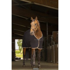 Chemise polaire EQUITHÈME Polyfun