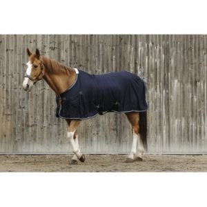 Chemise EQUITHEME Micro mesh