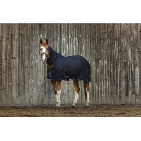 Chemise EQUITHEME Micro mesh combo