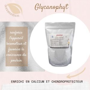 GLYCANOPHYT Equitop
