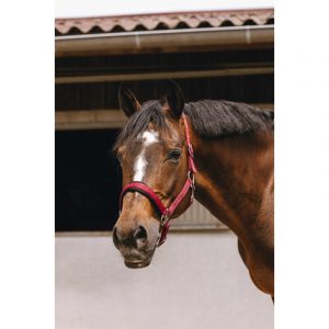 Licol nylon EQUITHÈME – Jacquard
