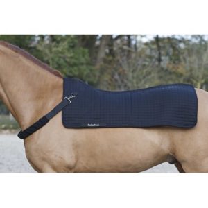 Backwarmer BACK ON TRACK® – Royal