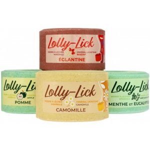 Pierre à sel HIPPOTONIC – LOLLY-LICK